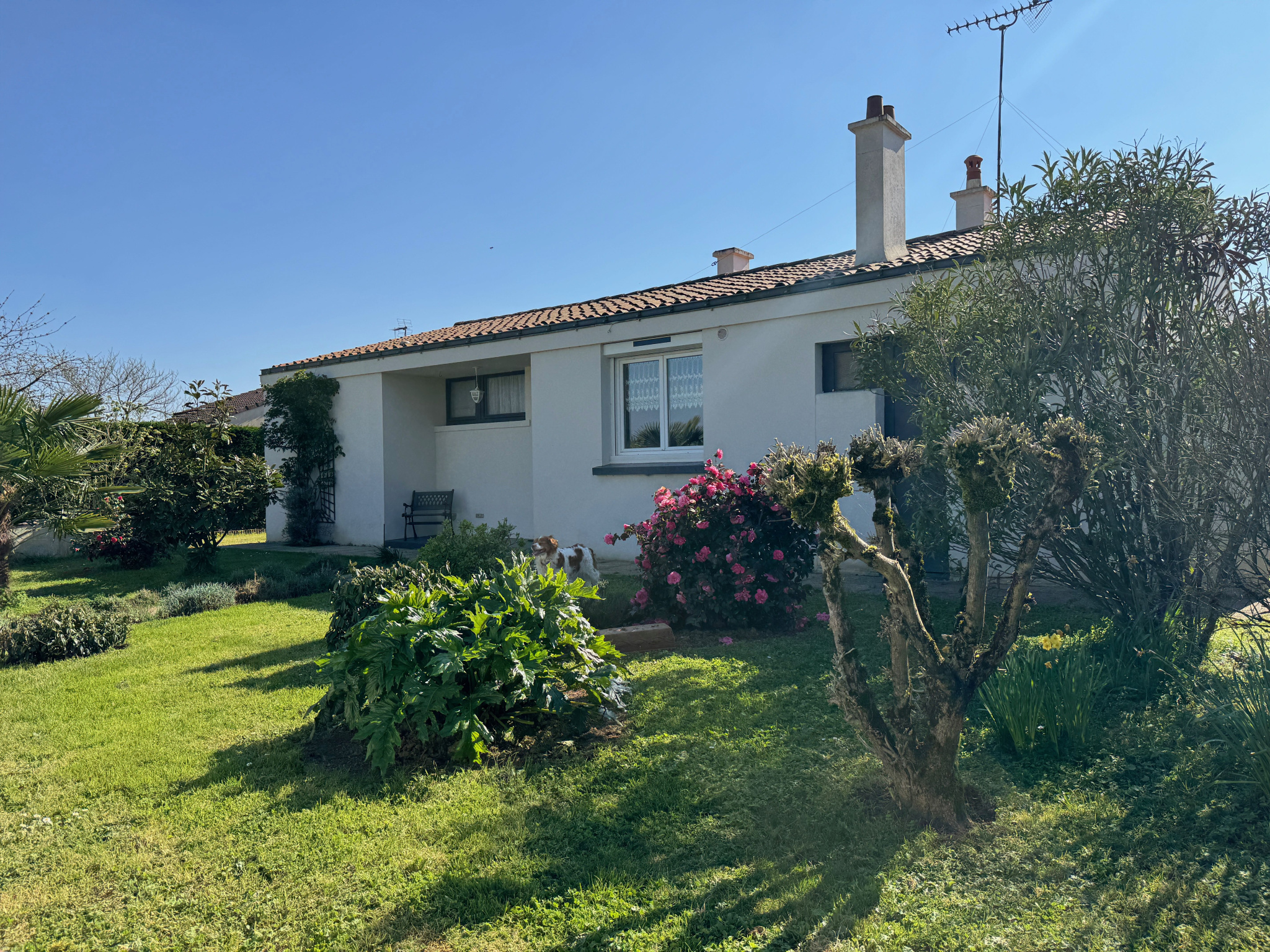 Charmante maison de plain-pied au cadre campagnard - A 5 min de l'HERMENAULT 85570