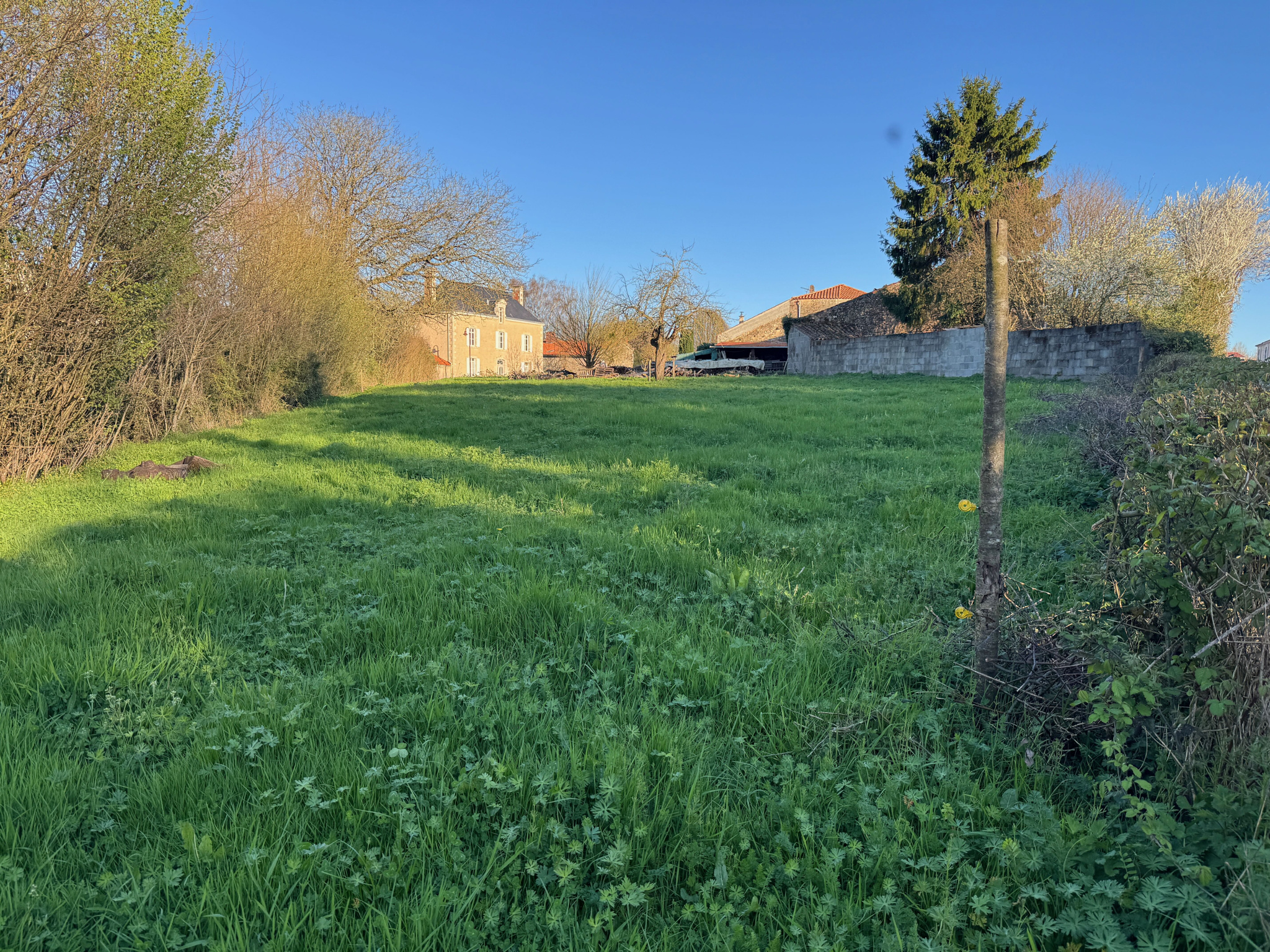Beau terrain à bâtir - LA JAUDONNIERE - 85110
